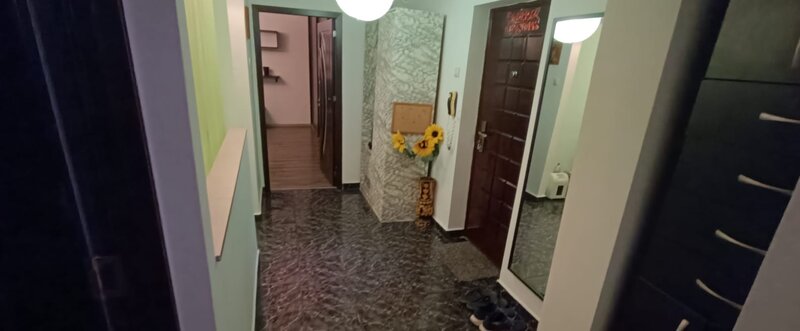 Militari, Iuliu Maniu,