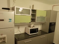 Militari, Iuliu Maniu